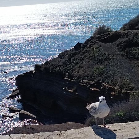 شقة Au Cap ! آجد المظهر الخارجي الصورة